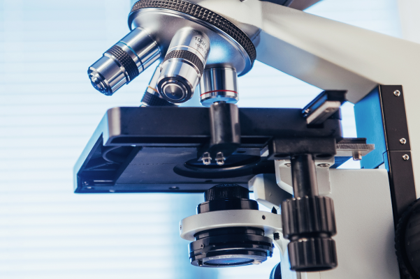 dog-diagnostic-lab-combining-diagnostics-with-preventive-care