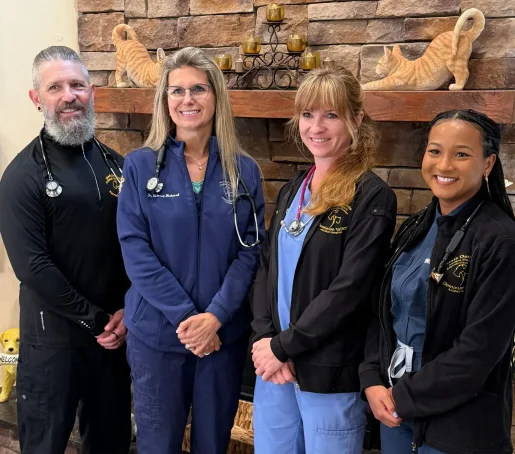 Our Unique Approach to Veterinary Care