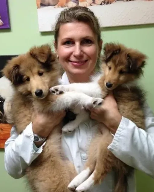 Advanced, Accredited Veterinary Care